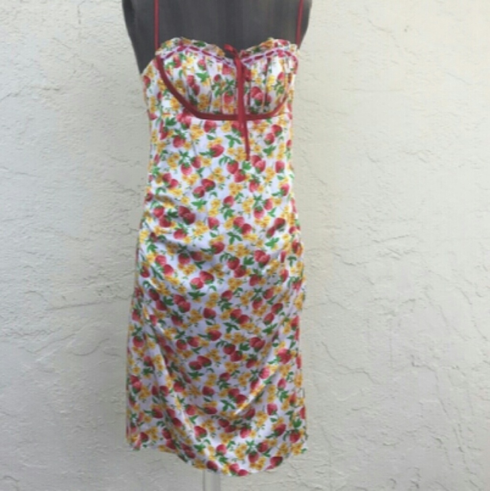 Rare Betsey Johnson 🍓 Strawberry pinup dress sz 2